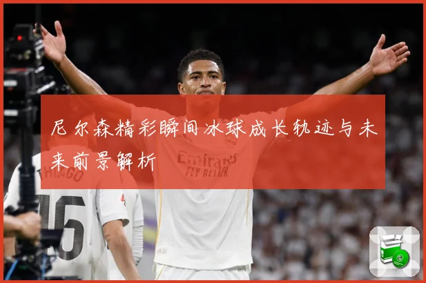 尼尔森精彩瞬间冰球成长轨迹与未来前景解析