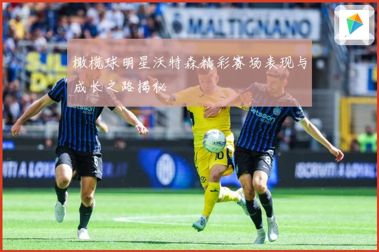 橄榄球明星沃特森精彩赛场表现与成长之路揭秘